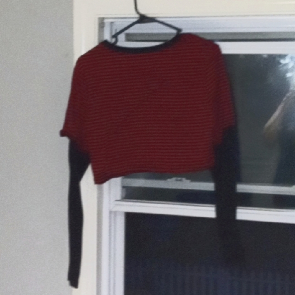 Long sleeved crop top